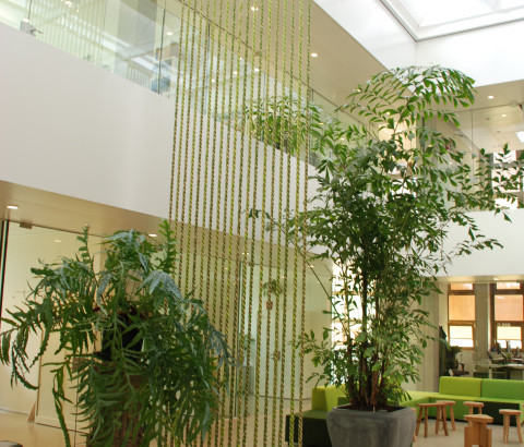 Planten in het gebouw van NIOO-KNAW