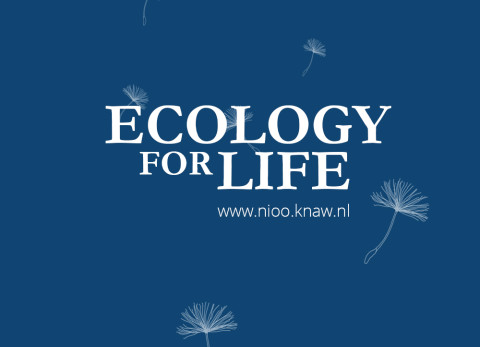 Ecology for life!