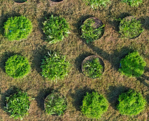 Dronefoto biodiversiteit