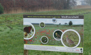 Biodiversiteit in Nederland