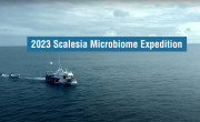 Scalesia Expedition banner 3