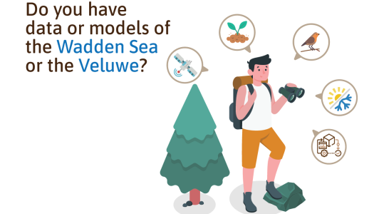 Figure with binoculars, standing in front of tree with images of ecosystem components, asking for data and models on Wadden Sea and Veluwe