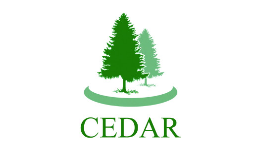 Logo of CEDAR