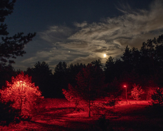 Licht op natuur veldlocatie