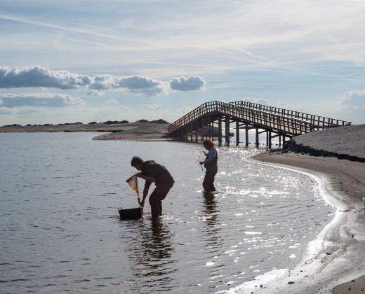 Marker Wadden research