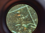 Microscopie
